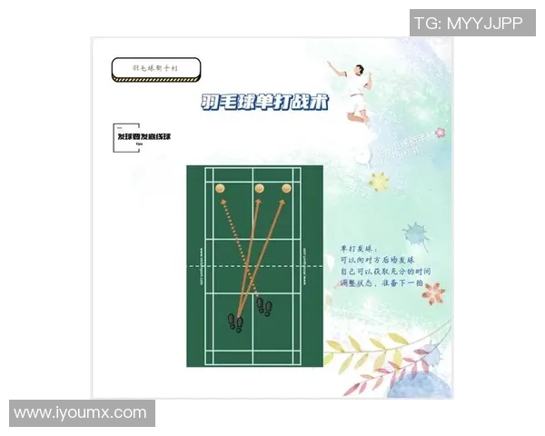 全国锦标赛分析：北京羽毛球队技术水平与战术运用的全面评估